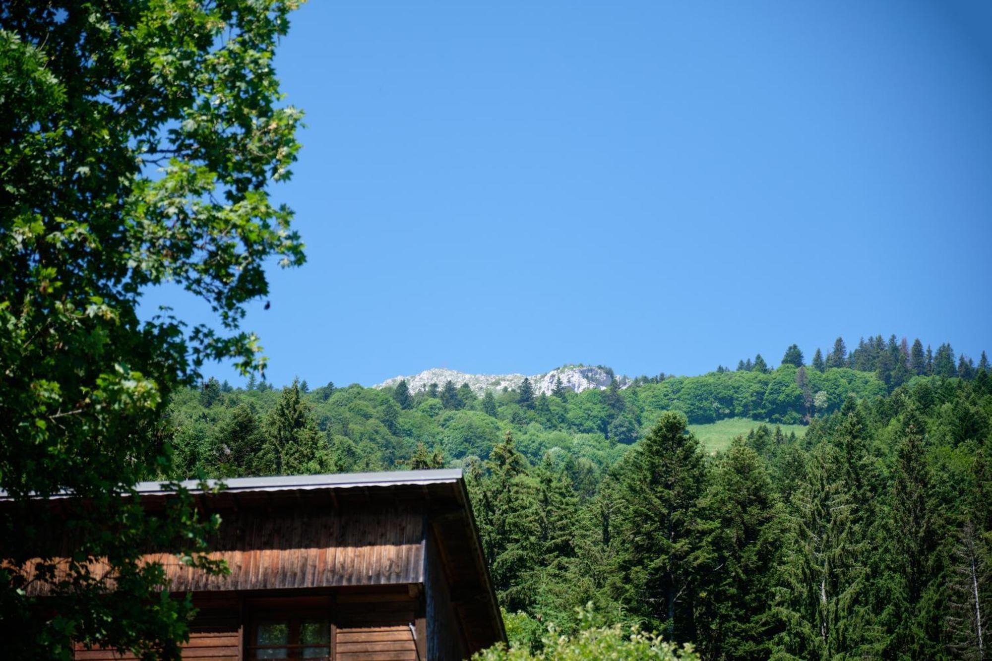 Chalet Le Lys Martagon Saint-Pierre-d'Entremont  Экстерьер фото